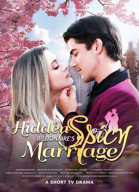 Hidden Billionaire Spicy Marriage — poster artwork